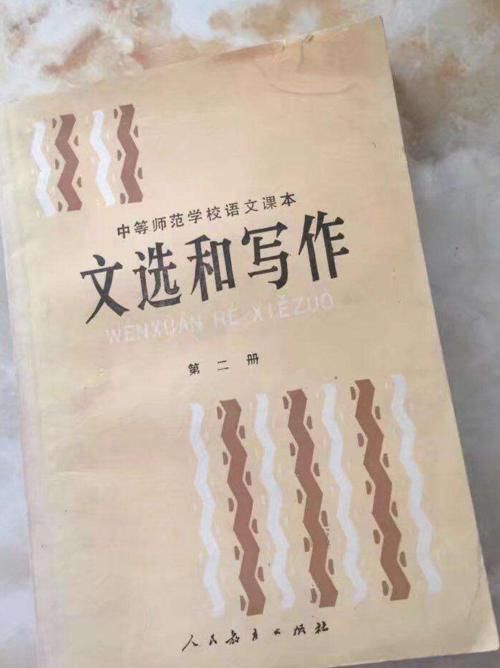 中师生突围：从乡村小学教师到985大学教授，他用了16年