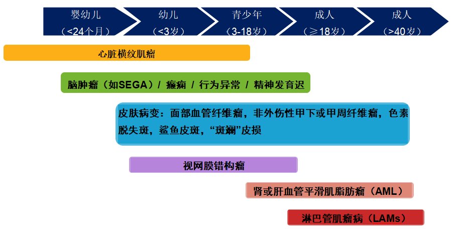 孩子行为异常，抽搐或者发现皮肤色素脱失斑，当心“结节性硬化症”|关注罕见病| 结节性硬化症