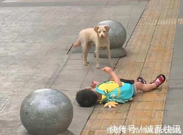 母子|倔强母子火了,孩子街头撒泼打滚,妈妈一旁冷眼旁观,谁也不服谁