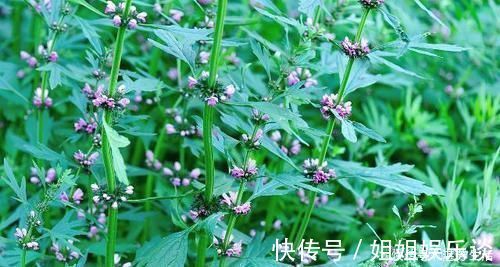 卵巢|宫颈癌早期,子宫会发出3个警告,别当做简单的“妇科病”!