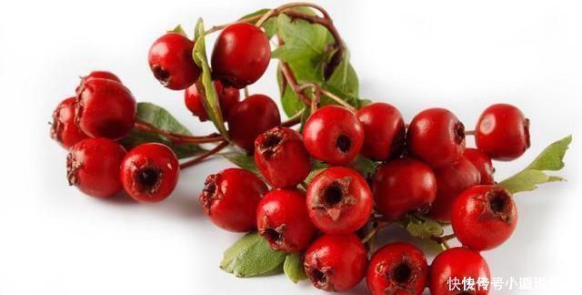山楂|山楂和它是“绝配”,连喝一周,清理血管,还你一个干净身体