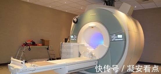 布鲁克|比芯片垄断更加彻底,德国科技巨头垄断九成,中国模仿都造不出