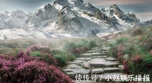 唐诗三百首@唐诗三百首中最特别的诗，通篇不合韵律，只因意境太美而入选