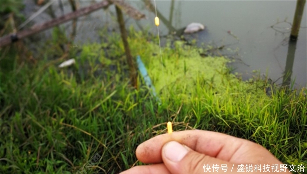 浮漂|七星漂钓组的两种调漂方法,方法都很简单,第二种方法更适合走钓