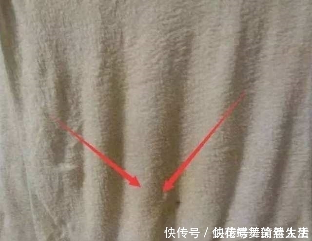 白醋|毛巾用久了又滑又臭?教你一个小窍门,毛巾马上和新的一模一样