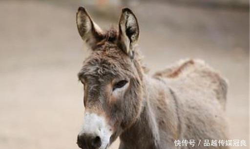 马未都:中国人希望你过的好,但是不希望你过的比他好,您同意吗