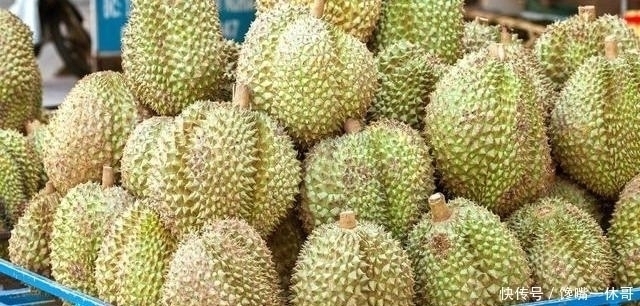 榴莲|一棵榴莲树可以长上百个榴莲,为什么还卖那么贵看完你就明白了