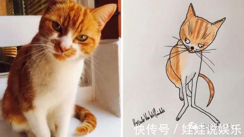 pet#随手涂鸦,自己觉得是“垃圾”的画作,没想到却在网上卖疯了