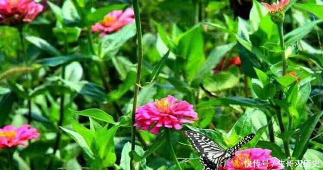 天子|云中吟系列·孟秋