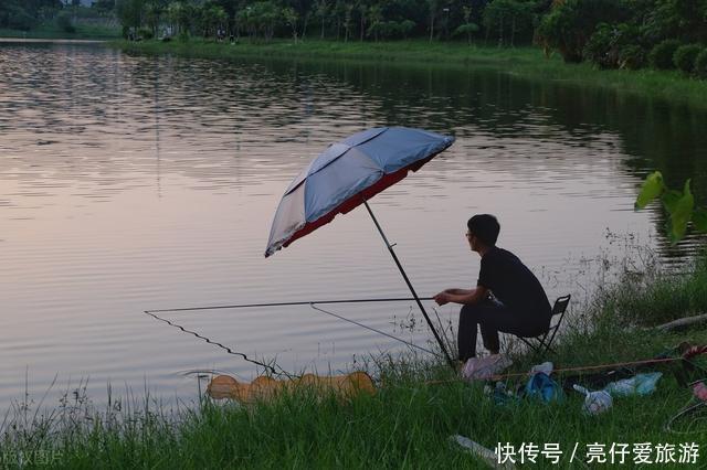 鱼类|夏季野钓总没口找钓位注意这4类地方,天热大鱼易扎堆