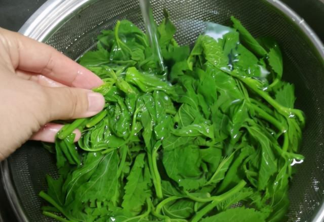 桑叶|最近，要多给孩子吃的菜，清爽鲜嫩更开胃，10分钟做一锅当早餐