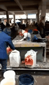 |搞笑GIF:哈哈,妹子你确定是在做俯卧撑吗?