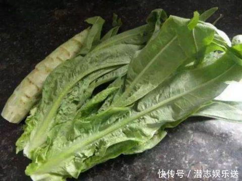 随手丢弃的莴苣叶子 原来对身体有这么多好处