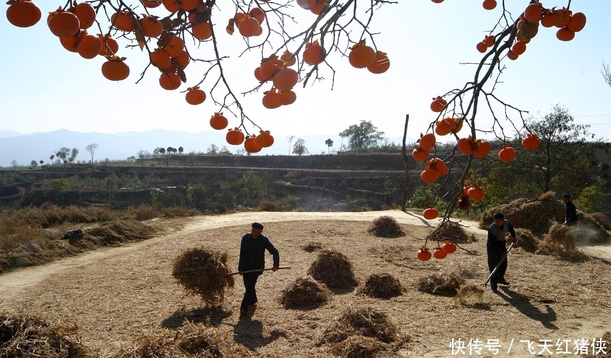 知青往事：在陕北插队时帮老乡写对联闹出笑话，老乡并未怪罪