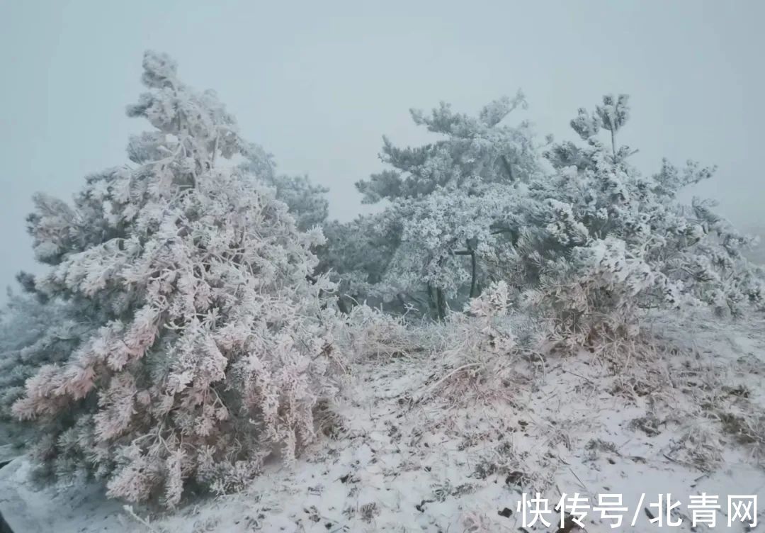 云海|太美了！台州最新雪景！括苍山跌至-10℃，再现云海奇观