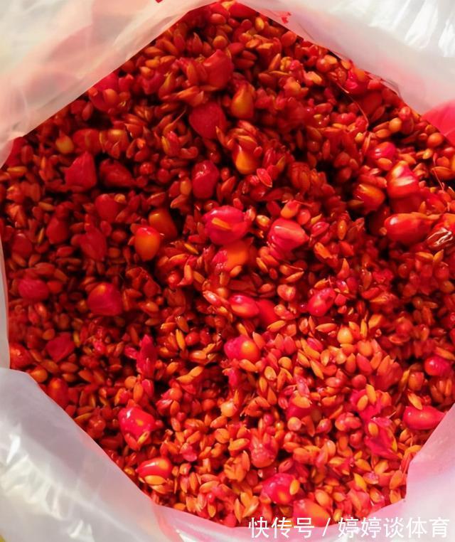 不用红虫和蚯蚓,斤鲫连续上岸,它是钓大鲫鱼的“利器”