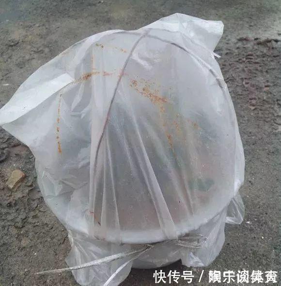 养花|什么药片水、黄豆水,都不如家里“2种灰”,养花杀菌灭虫、补肥