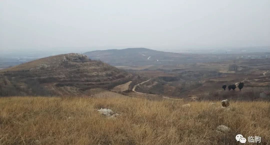 张玉奎|张玉奎:临朐苏秦墓