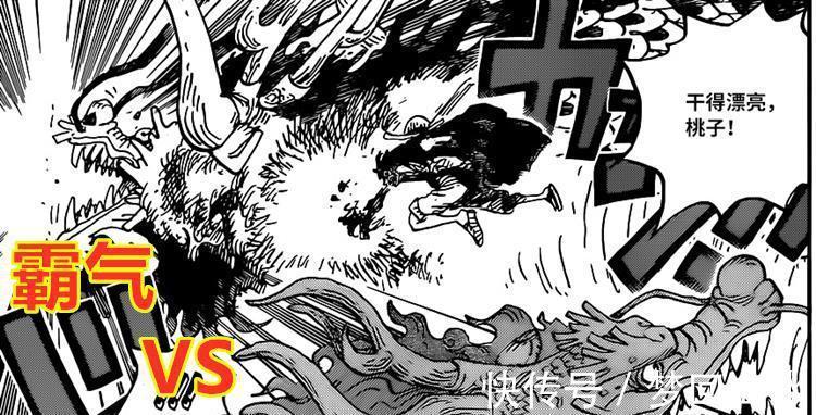 桃之助|海贼王1026话:恶魔果实的崛起,桃之助咬伤凯多,路飞五档要来了