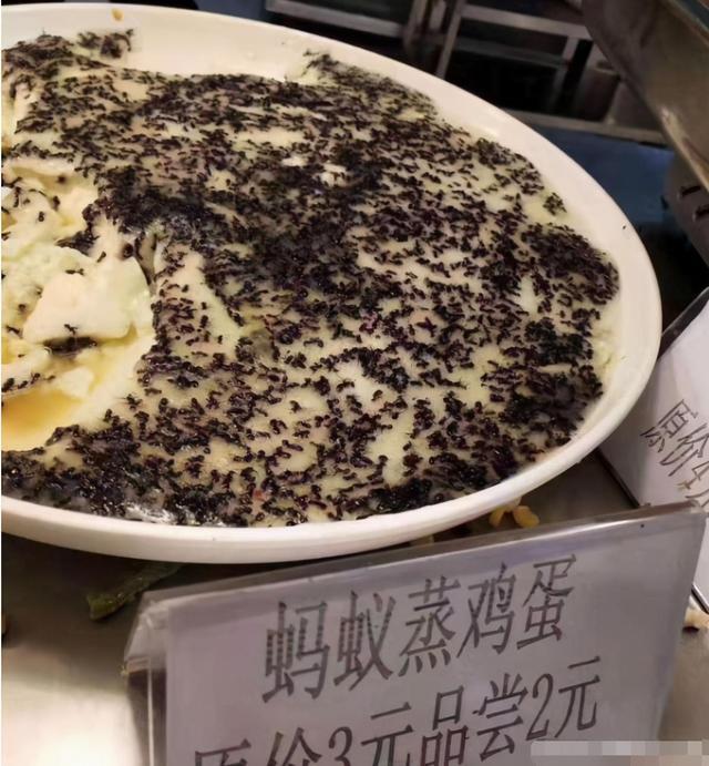 盘点大学食堂的“黑暗料理”,橙子蒸蛋都是小意思,这个才最过分