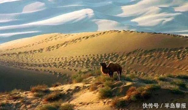 绿洲|中国四大沙漠之一，被小小土豆征服，变成世界上最“凄惨”沙漠