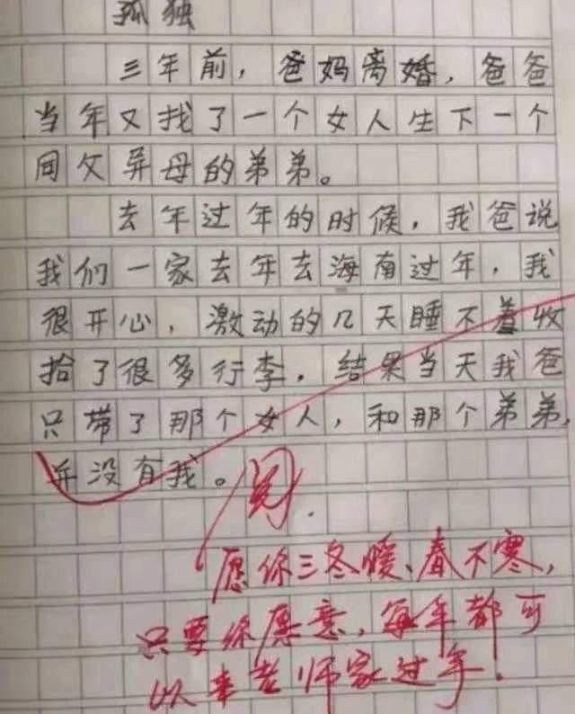 点评|小学生满分作文刷屏，老师点评“神童”感叹自愧不如，网友看哭了