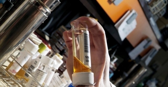 牛奶|糖尿病人喝酸奶、牛奶，升血糖还是降血糖？或许很多人做错了