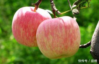 生活中必吃的三大水果 ,降压抗癌通便,一定要记住!