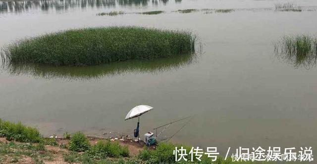 鱼口|钓鱼时,肉眼能看到鱼群,但它们为什么就不上钩?真正原因竟是它
