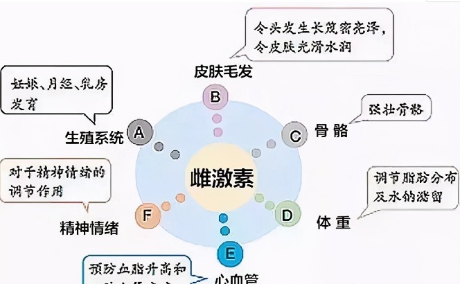 内分泌平衡|女人50岁后，是胖点好还是瘦点好医生告诉你标准体重，自查下