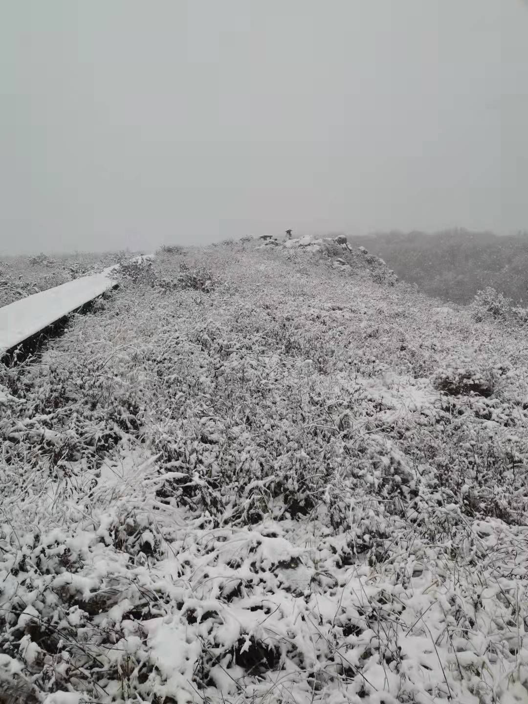 积雪|6厘米厚积雪，难得一见雾凇景象！百花山披“白纱”