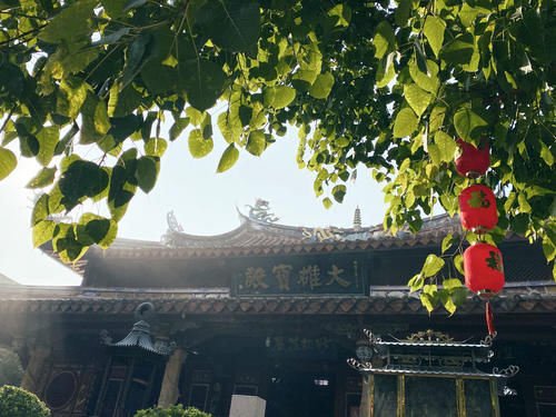 福建有个千年寺庙，藏在泉州闹市区却很安静，还可看到国宝级古塔