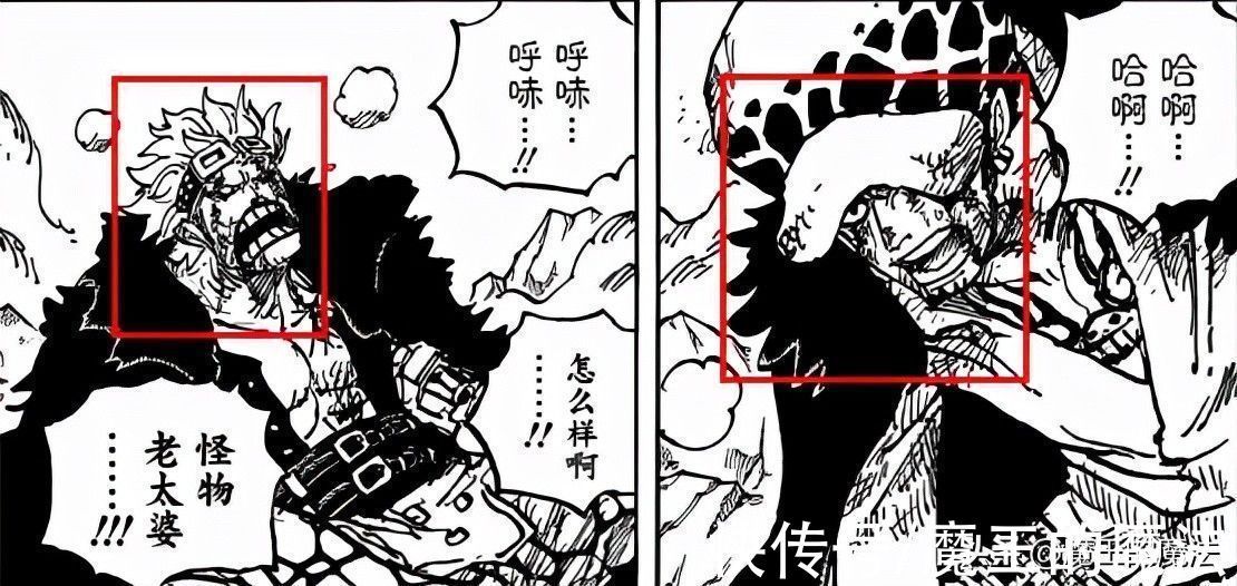 四皇|海贼王1031话分析:索隆占C位有含义,基德与罗威胁四皇体系