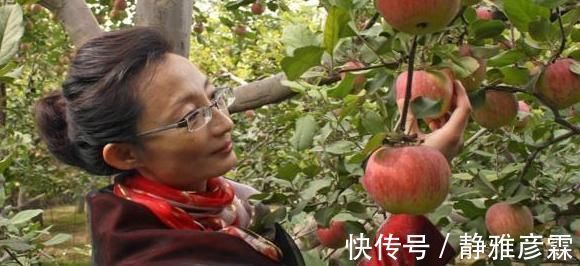 食物|想减肥的人，常吃以下“3样”食物，排出黑臭大便，甩掉大肚腩！