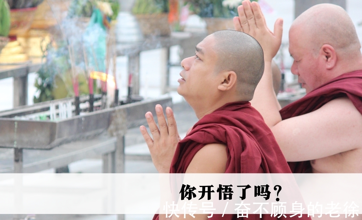 大道理$你开悟了吗?