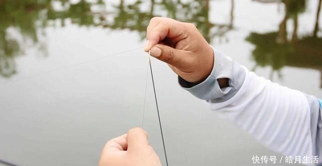 钓饵|钓半水浮漂只需这样调,钓底、钓浮无需再次调漂