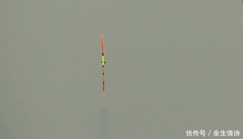 点害怕|钓获2条野货,不敢取钩,网友:刀鳅,现在少见,一斤几十块钱呢