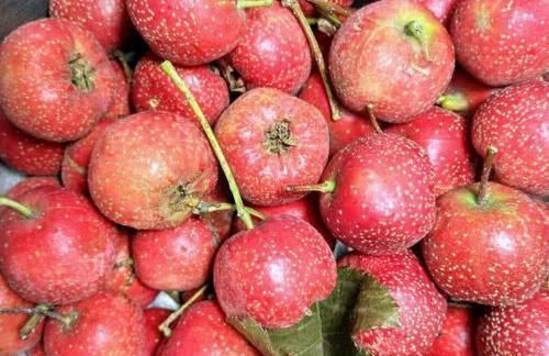 月经不调|女人“大姨妈”刚走,多吃3种食物,消炎排毒,卵巢给你“点赞”