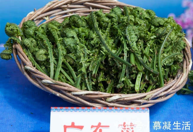 吃法|68种野菜图片,教你认识不同的野菜和吃法,你想要的野菜这里都有