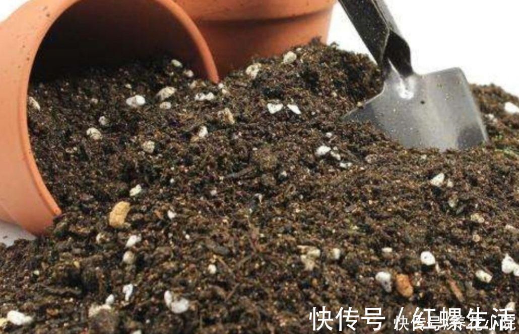 松软|营养土不用买，几种材料掺一起，养分充足又松软，适合养各种花