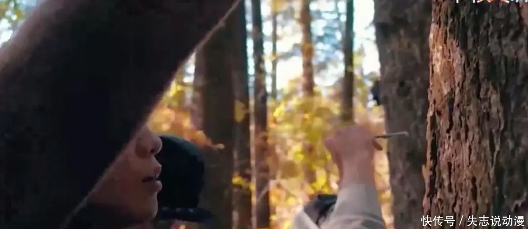 我是大哥大 《以团之名》年度逆操作开盘,快乐源泉是你狼人节目组了!