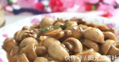 常吃|三伏天,有钱没钱,都要常吃这6种碱性食物,让家人顺利度过夏天!