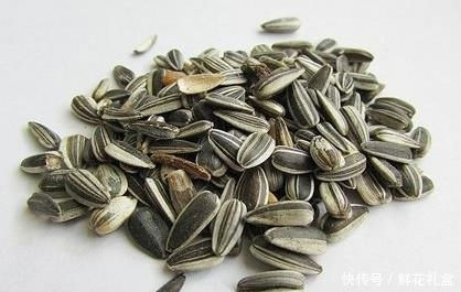 答案|吃瓜子=喝油?那还可以吃吗?营养师给你答案