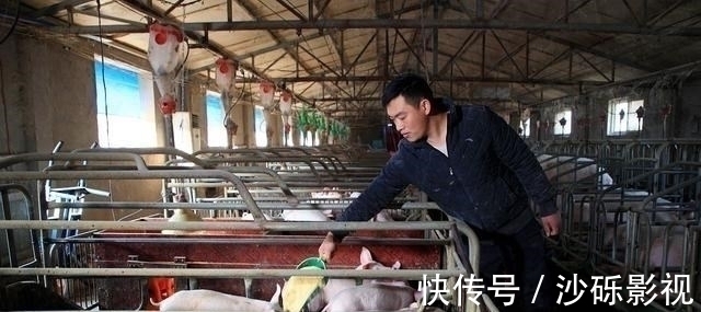 养猪|暴跌86%也不怕!华为祭出4个新“收入引擎”,一个比一个给力