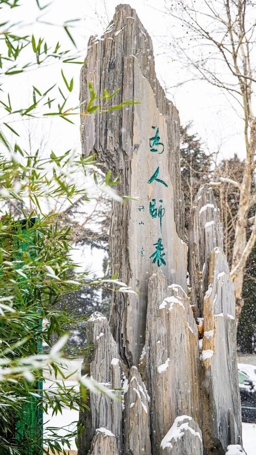 唯有雪花真绝色，飘落时节动师大