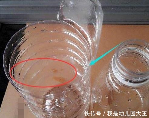 矿泉水瓶别扔了,对半切种菜,阳台秒变大菜园,天天都吃新鲜菜!