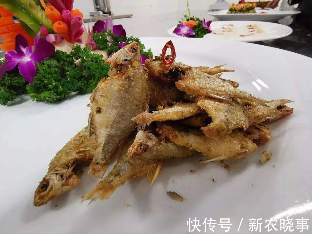 河蚌|很苦的小鱼,俗称“苦屎片”,农村小河一捞一大桶,如今5元1条