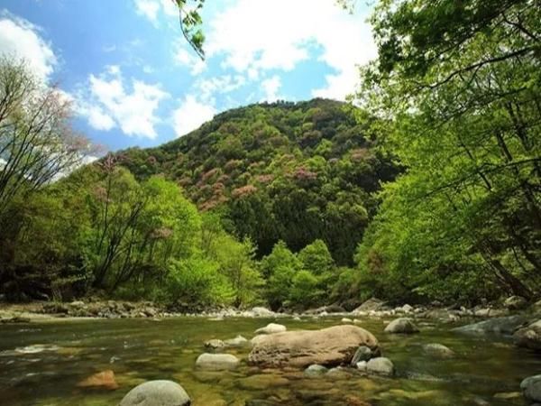 攻略|嫦娥奔月我奔你，青川三日旅游攻略看这里！