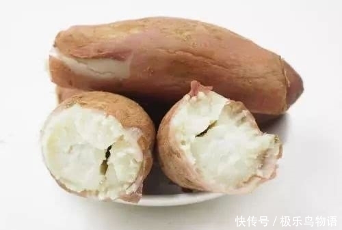买错|白瓤和红瓤红薯哪个更营养?两者区别原来这么大,以前都买错了