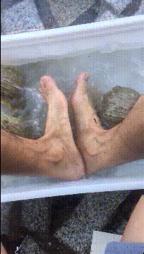 |搞笑GIF:长点心吧 对面住的可都是单身汉啊